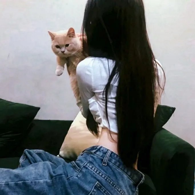 维琴河第六季
